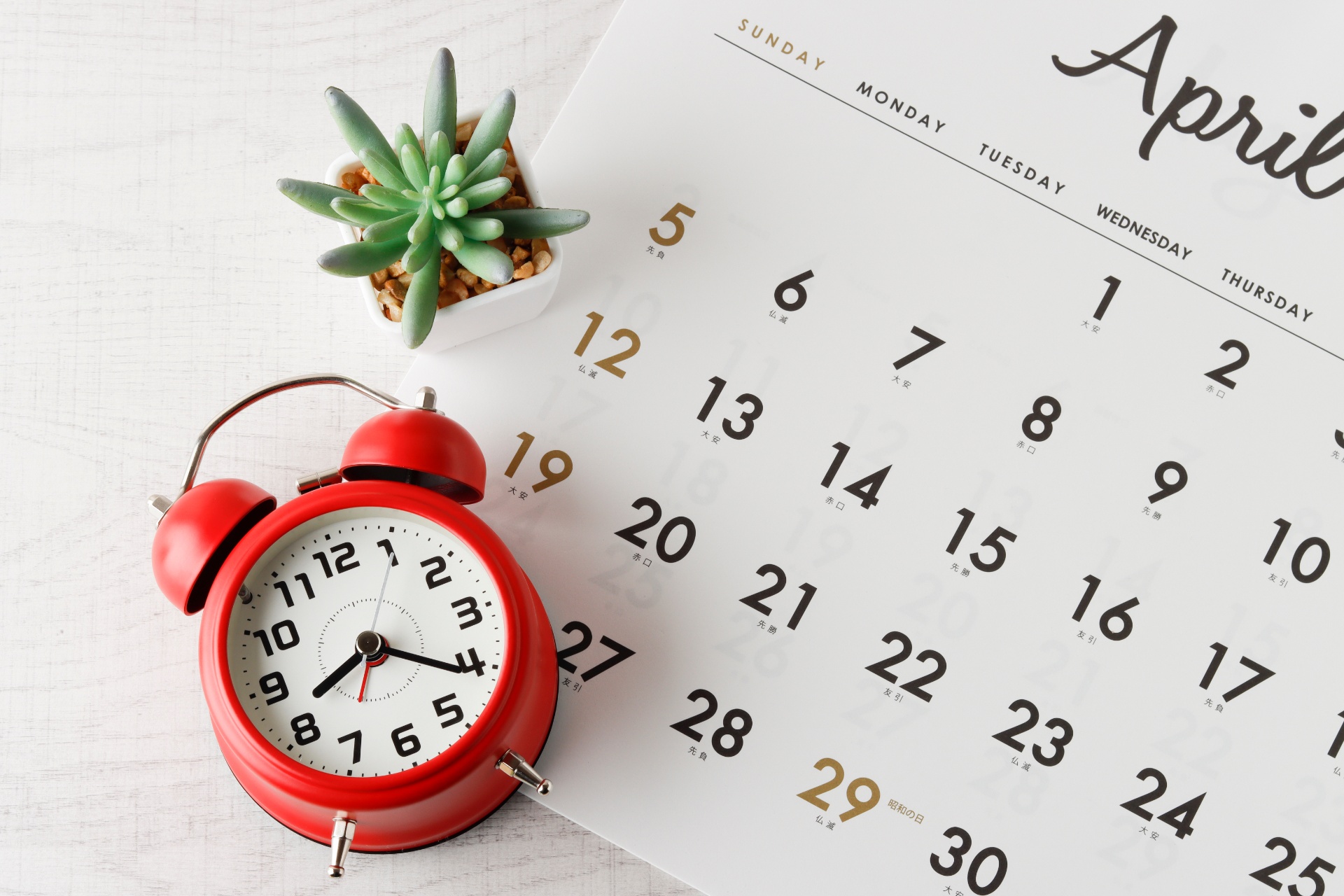 AdobeStock_334612774 (1)